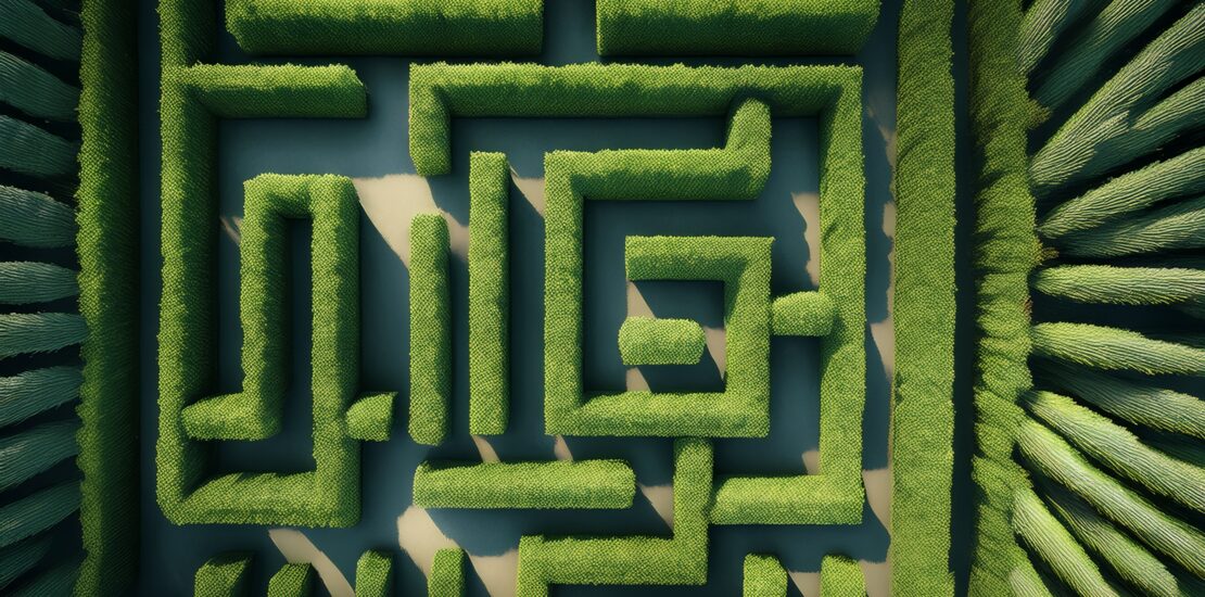 aerial view of maze made of trees and bush drone view of the maze of plants natural maze made with green fir branches background minimal nature concept