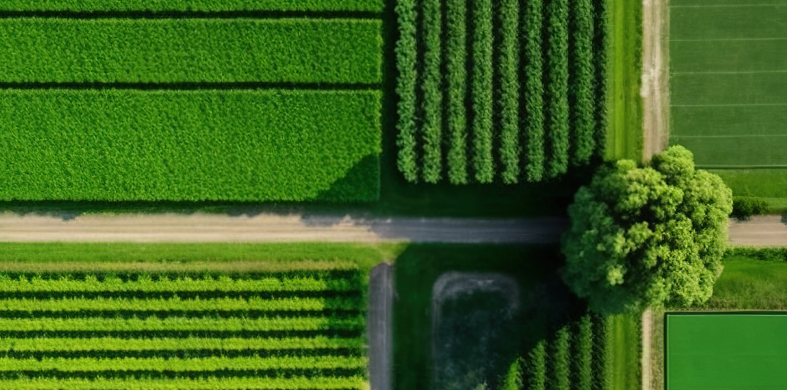 Aerial view of green grassy fields of country roads.