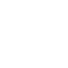 Map Icon